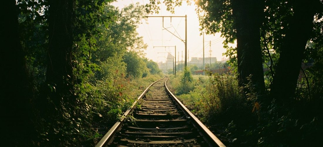 petite ceinture de paris : balade urbaine et secrets